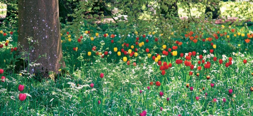 10 oplossingen voor lastige tuinhoekjes