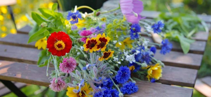 7 tips om het boeket langer in de vaas te laten staan