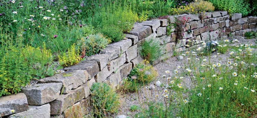 Ontwerpideeën voor een natuurlijke tuin