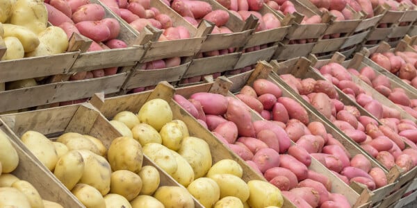 TOP 5 populaire aardappelrassen - welke is waarvoor?