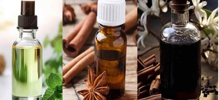 3 aromatizantes naturais para NEUTRALIZAR os maus odores