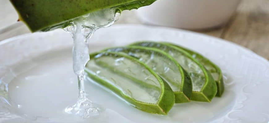 aloe vera