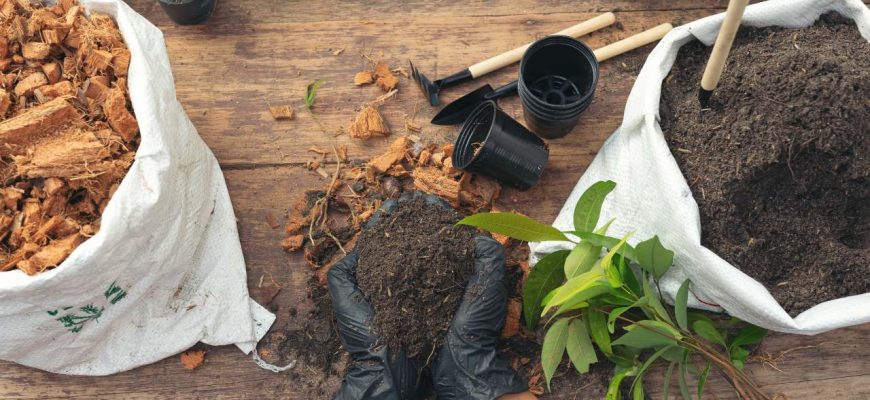 Use farinha em seus vasos de planta para fertilizar e explodir em flores!