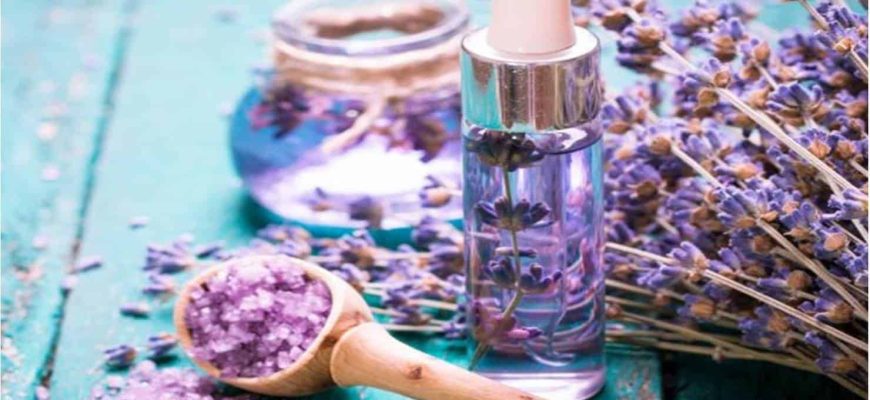 Como criar um ambiente PERFUMADO E RELAXANTE com lavanda