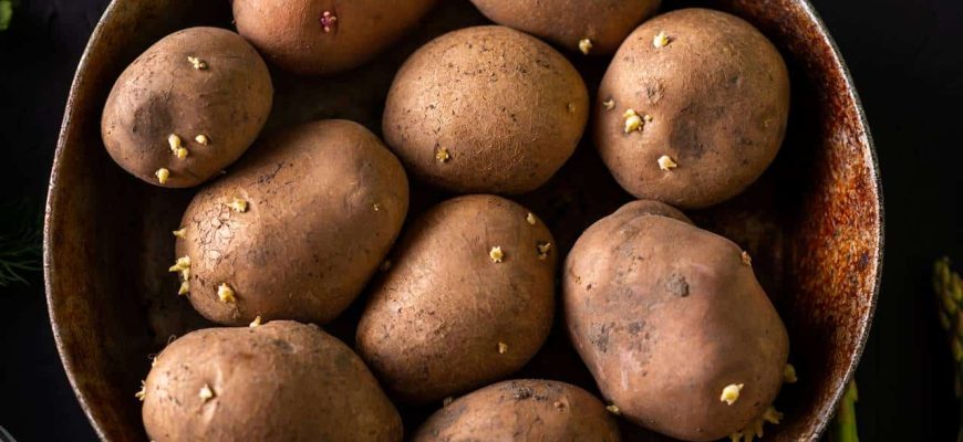 Dica para evitar que as batatas brotem e mantenha frescas por mais tempo