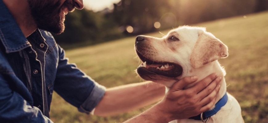 Wat de manier waarop je met je hond omgaat zegt over de jeugd die je hebt gehad