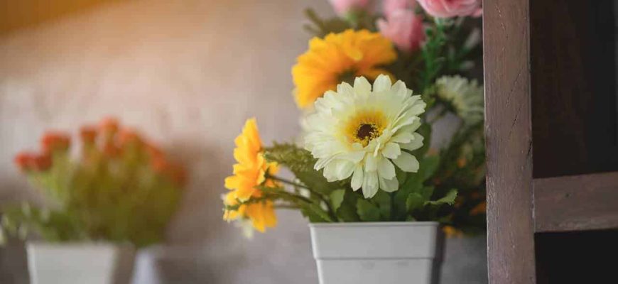 Faça suas flores durarem muito mais tempo em seus vasos!