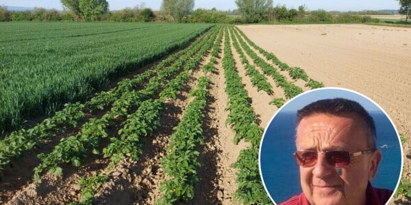 Crisis als kans: boeren zien een nieuwe kans in de groenteproductie