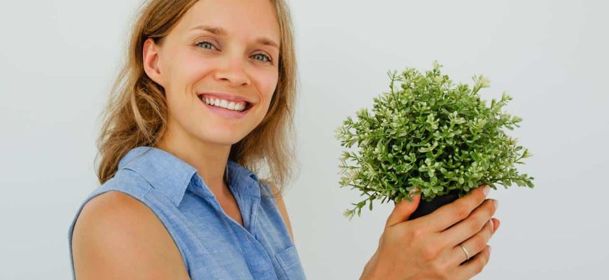 Planta para colocar na entrada da casa para atrair abundância!