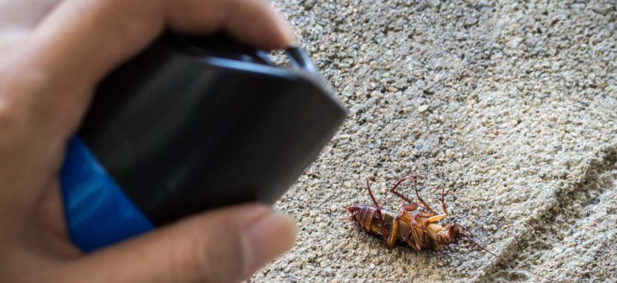 Repelente totalmente eficaz para eliminar baratas de sua casa!