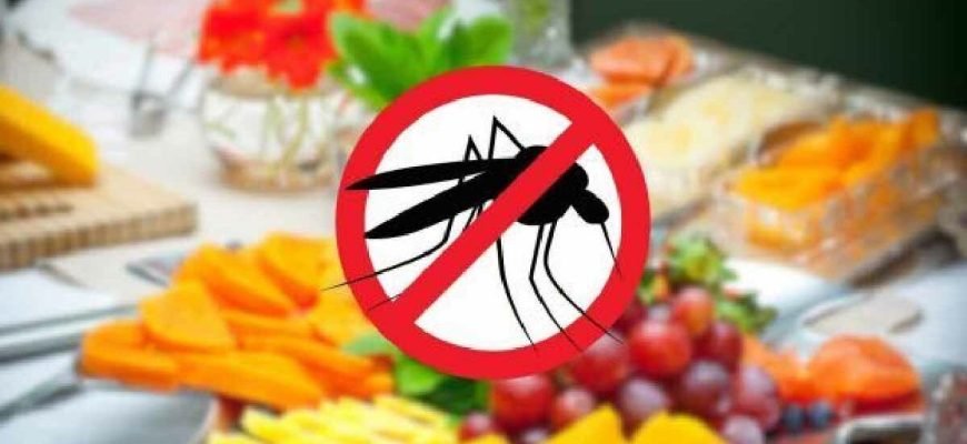 Uma simples fruta da estação pode afastar os mosquitos: coloque-a na mesa