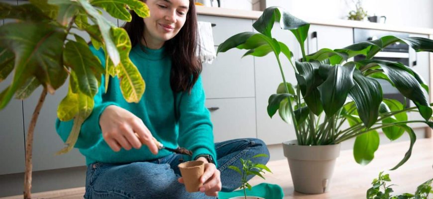 Como evitar fungos nas plantas com 1 ingrediente da sua cozinha?