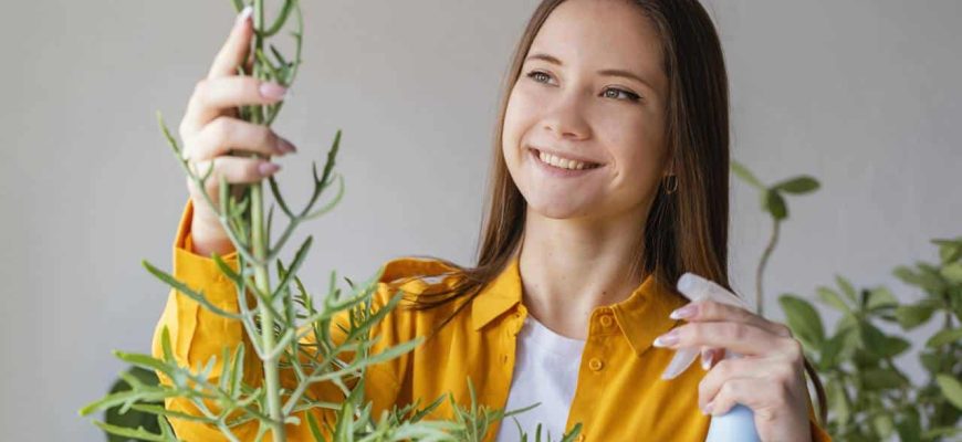 Faça esta planta crescer muito com apenas um ingrediente!