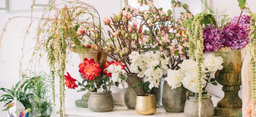 Fertilizante caseiro com arroz para que suas plantas encham de flores