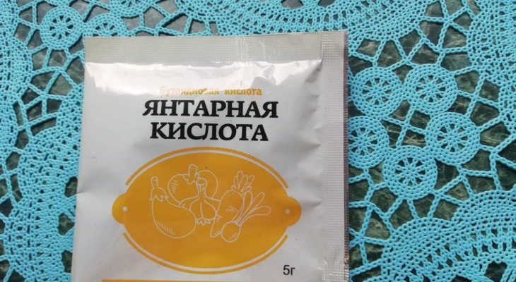 Янтарная кислота