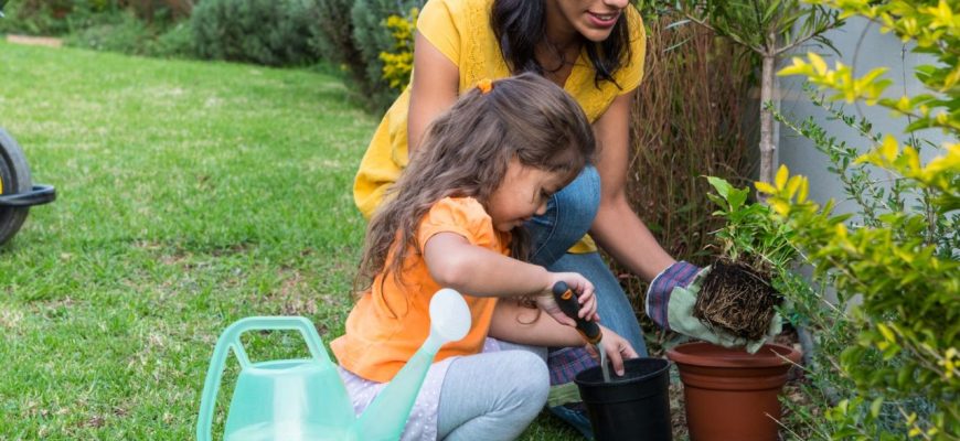 Enterre este ingrediente e reviva qualquer planta do seu jardim!