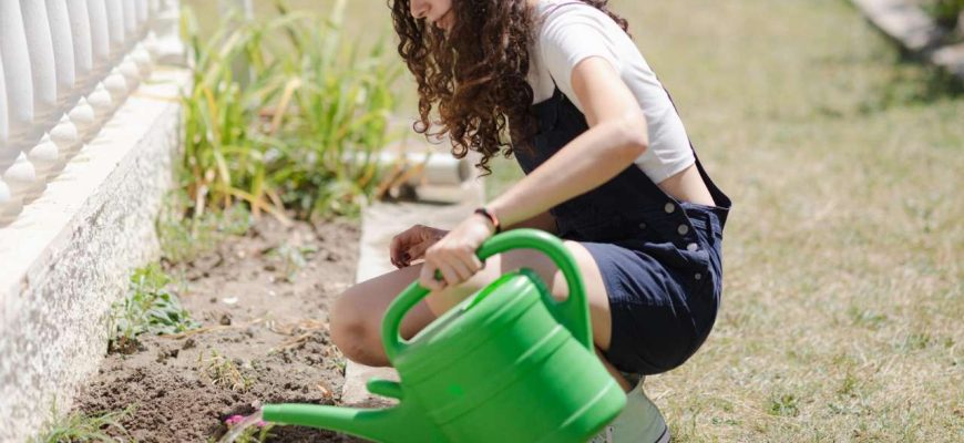 Receita secreta com limão para matar fungos das plantas sem danificá-las