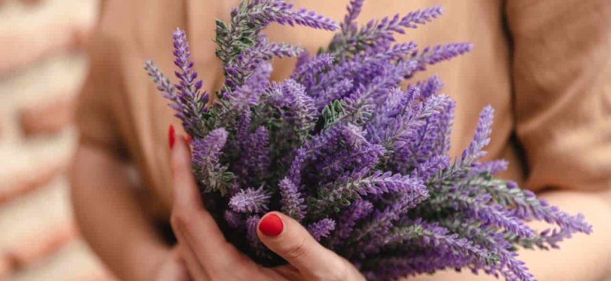 Como usar a lavanda para ter um descanso profundo?