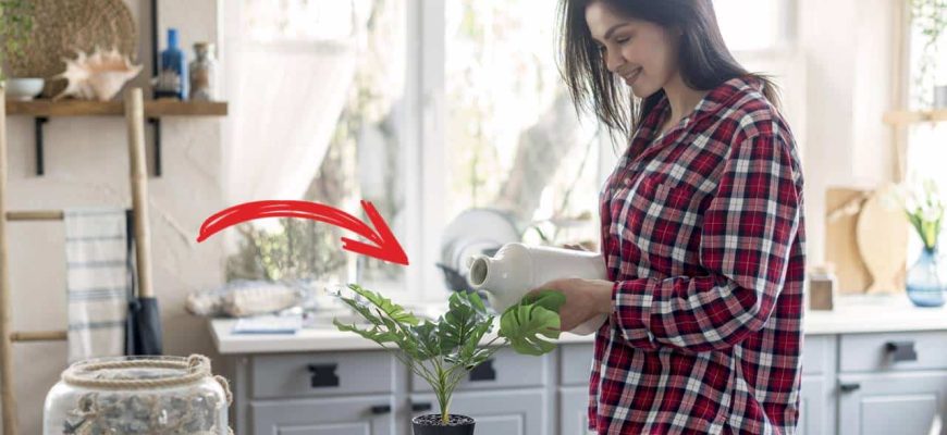 Estas são as ervas aromáticas que não devem faltar na sua cozinha!