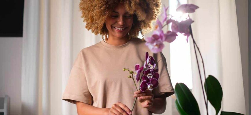 Guia para floração abundante de orquídeas: Dicas e localização ideal!