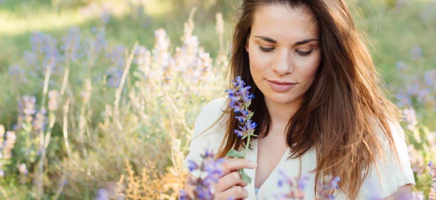 Remédios caseiros com lavanda para relaxar e esquecer o estresse