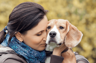 De ‘vreemde’ geur die uw hond kan detecteren en hoe deze zijn emotionele toestand beïnvloedt