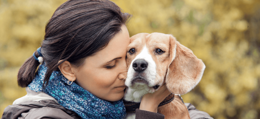 De ‘vreemde’ geur die uw hond kan detecteren en hoe deze zijn emotionele toestand beïnvloedt